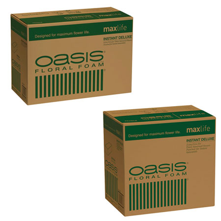 (OASIS) Floral Foam Deluxe Qty For Delivery to Collegeville, Pennsylvania