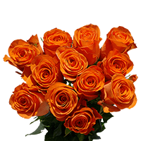 (OC) Roses Sht Dozen orange X 1 Bunch For Delivery to Montana