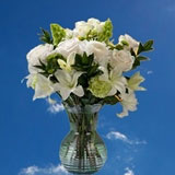 (OC) 1 Fresh Breeze 26 Flowers With Vase