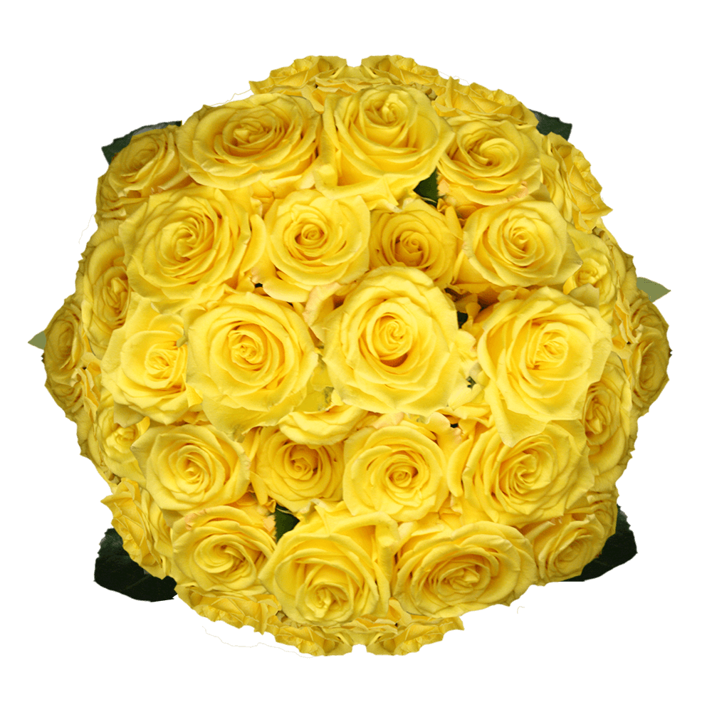 100 Light Yellow Wedding Roses Sale Lowes Online Price of Roses