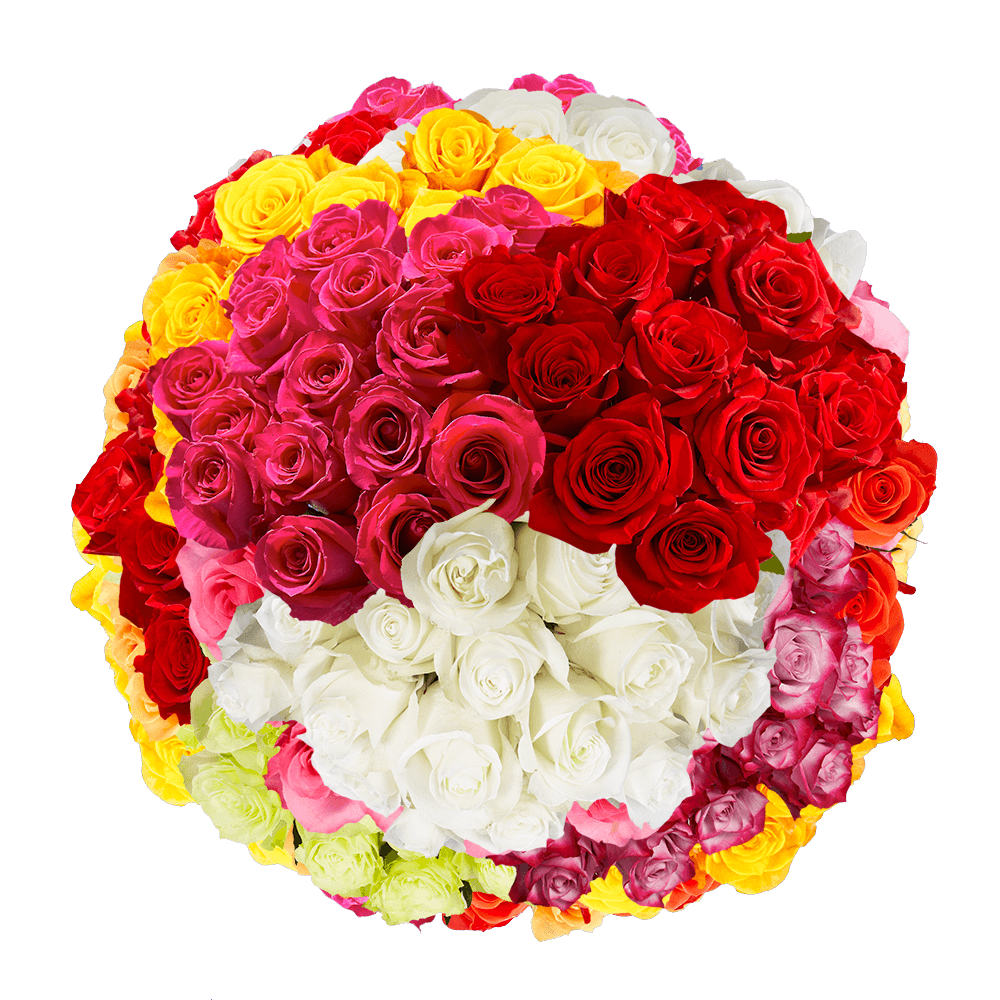 150 Roses 6 Colors For Sale Online