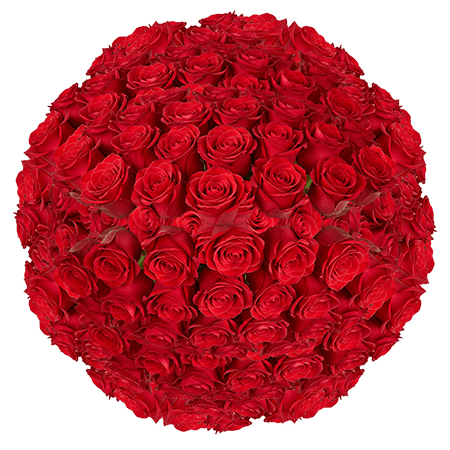200 New Face Roses (Medium) – Orange Roses