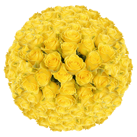 200 Yellow Bikini Roses – Bulk Yellow Roses