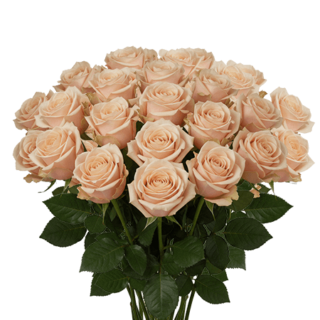 25 Mother of Pearl Roses – Light Pink Roses