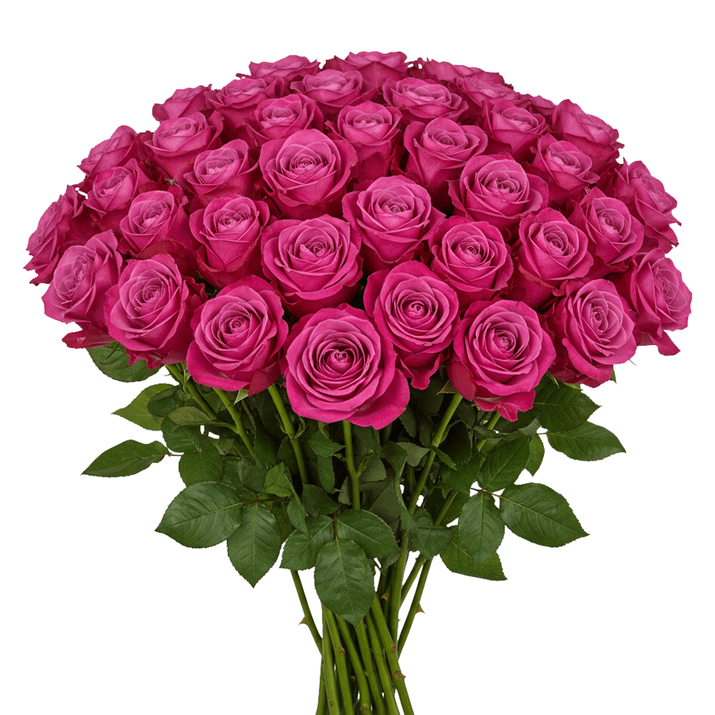 25 Queen’s Crown Roses – Fresh Hot Pink Roses