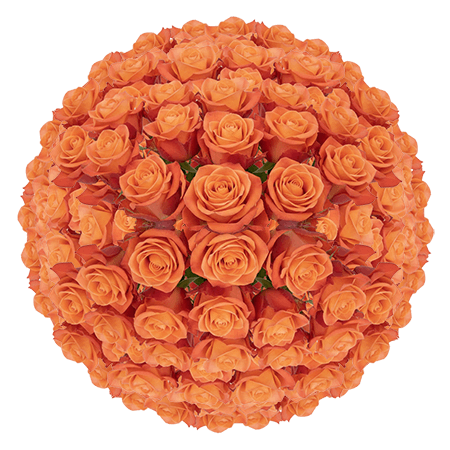 250 Alive Roses – Bulk Orange Roses