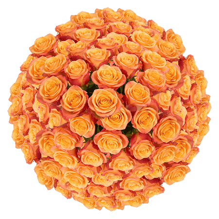250 Tycoon Roses – Bulk Orange Roses