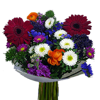 (QB) Delight Mixed Bqt 4 Bunches (16 stems) 4 Bouquets For Delivery to Butte, Montana