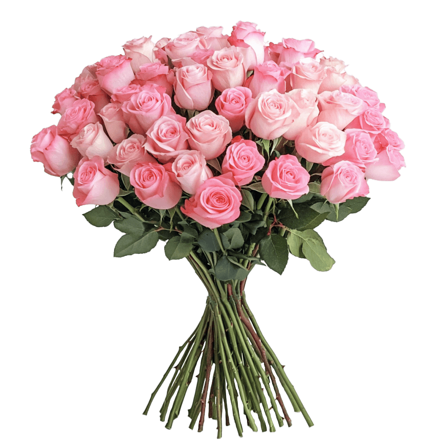 50 Assorted Pink Roses – Fresh Cut Roses with Next Day Delivery | GlobalRose Wholesale Flowers