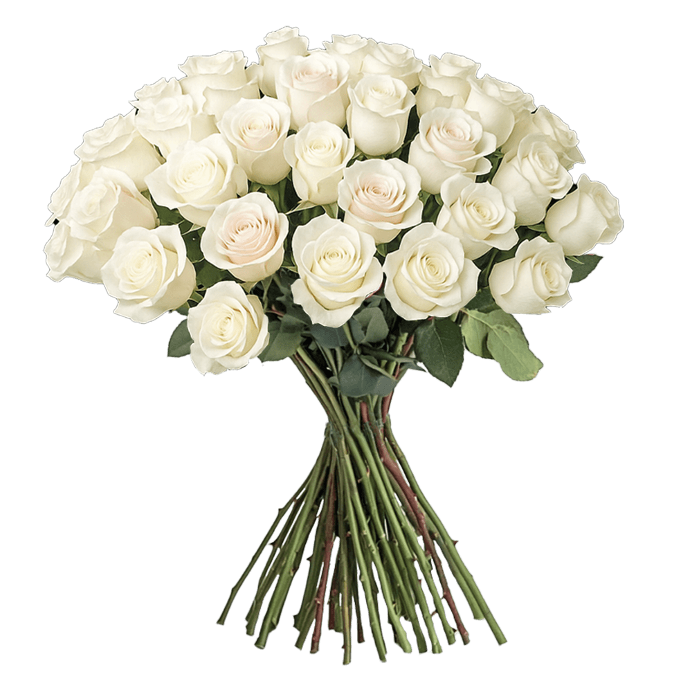 50 Assorted White Roses – Premium Roses with Next Day Delivery | GlobalRose Wholesale Flowers