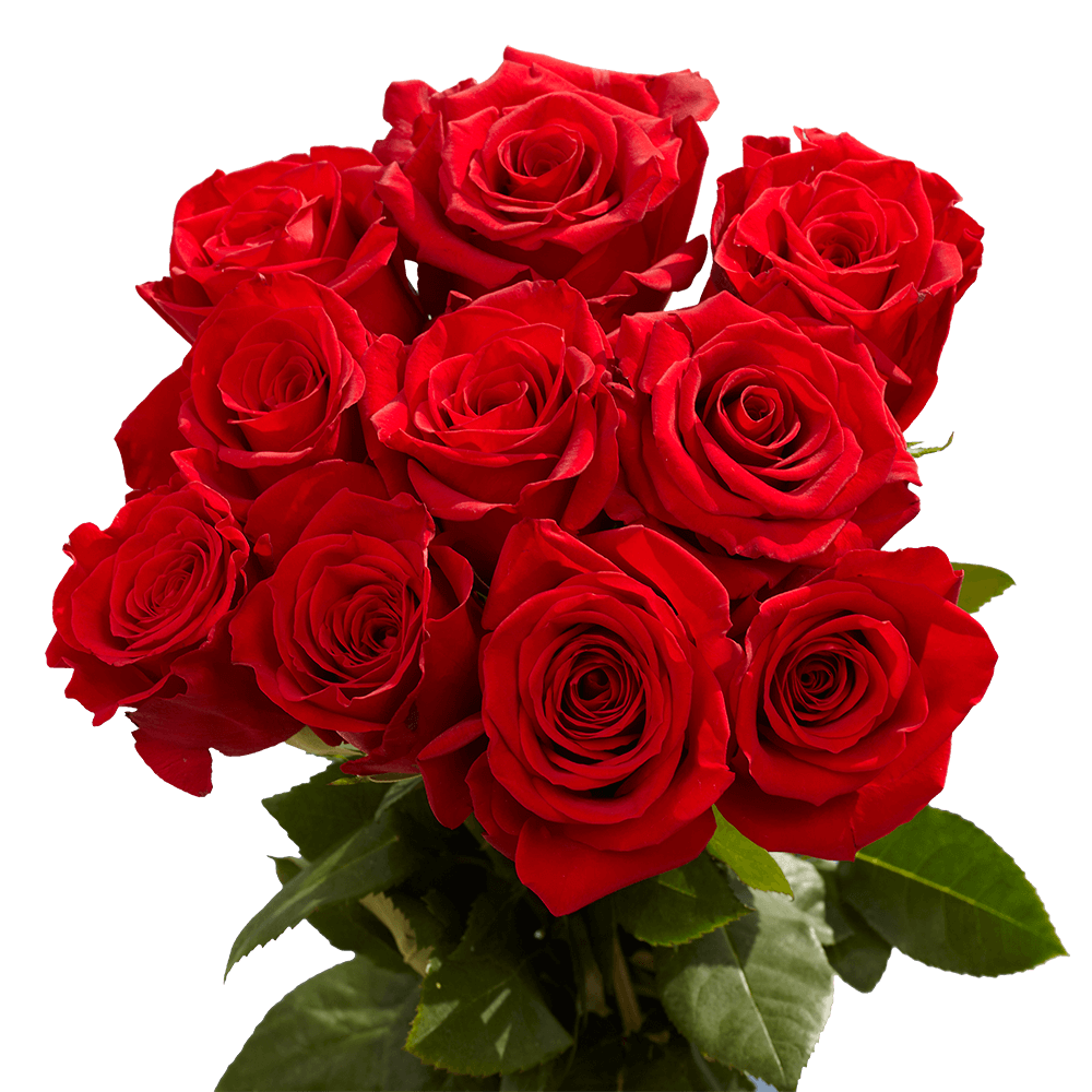 50 Fresh Long Stem Red Roses For Sale