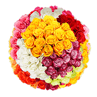 (2HB) Roses Sht DC 20 Bunches For Delivery to Fort_Pierce, Florida