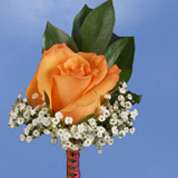 2-bt-rose-orange-RB-orange