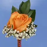2-bt-rose-orange-RB-orange