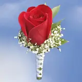2-bt-rose-red-RB-white