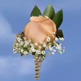 2-bt-rose-peach-RB-white