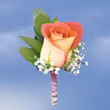 2-bt-rose-bicolor-RB-pink