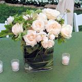 (HB) WC D.I.Y. Enchanted 250 roses & 144 Garden Roses &15 Bunches of Mixed Greens [Include Flo