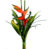 (HB) Arrangement Red Heliconia For Delivery to Saginaw, Michigan