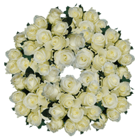 (HB) Rose Sht Alpe Dhuez White 10 Bunches