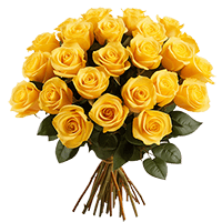 (OC) Rose Sht Yellow 2 Bunches For Delivery to Goldsboro, North_Carolina