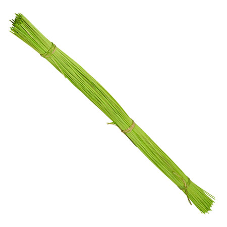 (OASIS) Midollino Sticks Apple Green CS X 10 / 41-12552-CASE