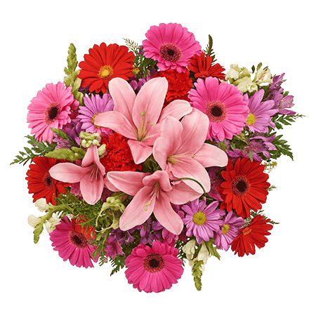 2 for 1 Celestial Holiday Arrangements