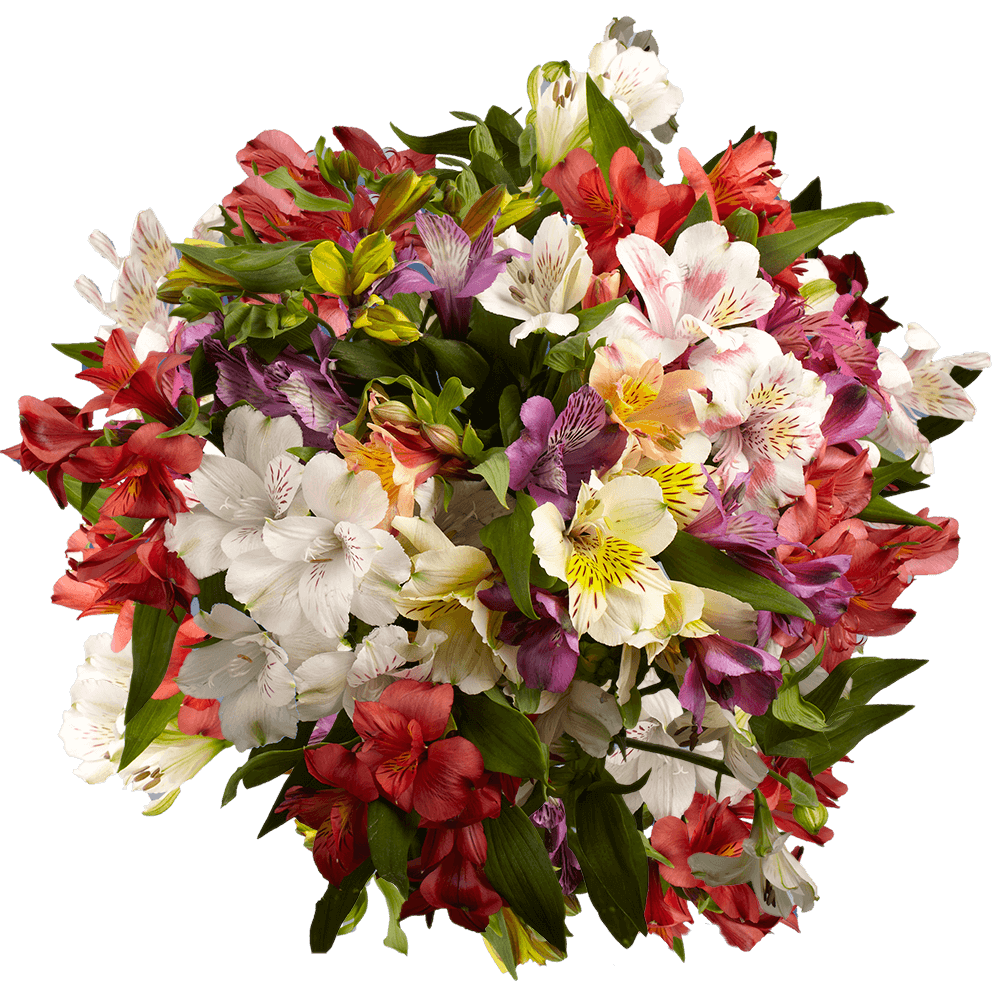 Flower Delivery to Torrance, California