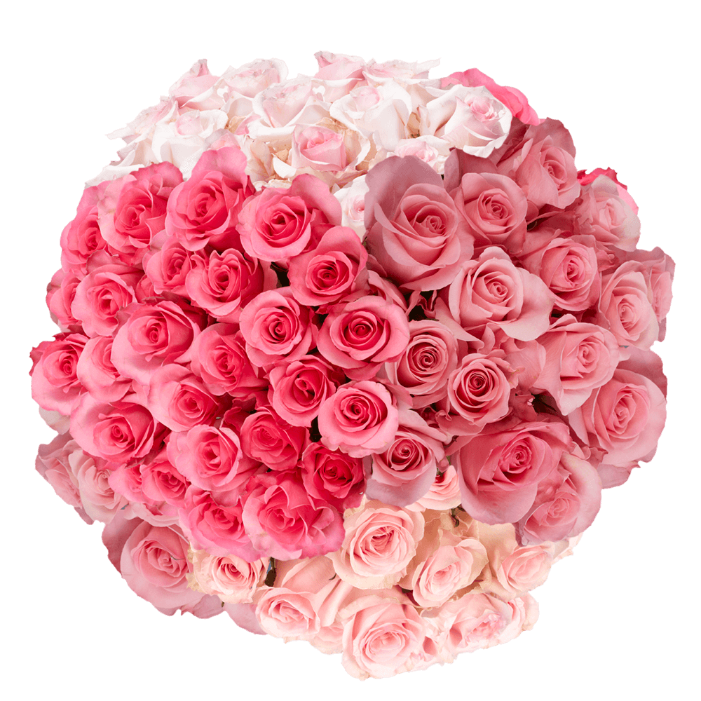 Assorted Pink Roses – Next Day Delivery of Fresh Cut Roses | GlobalRose Wholesale Flowers