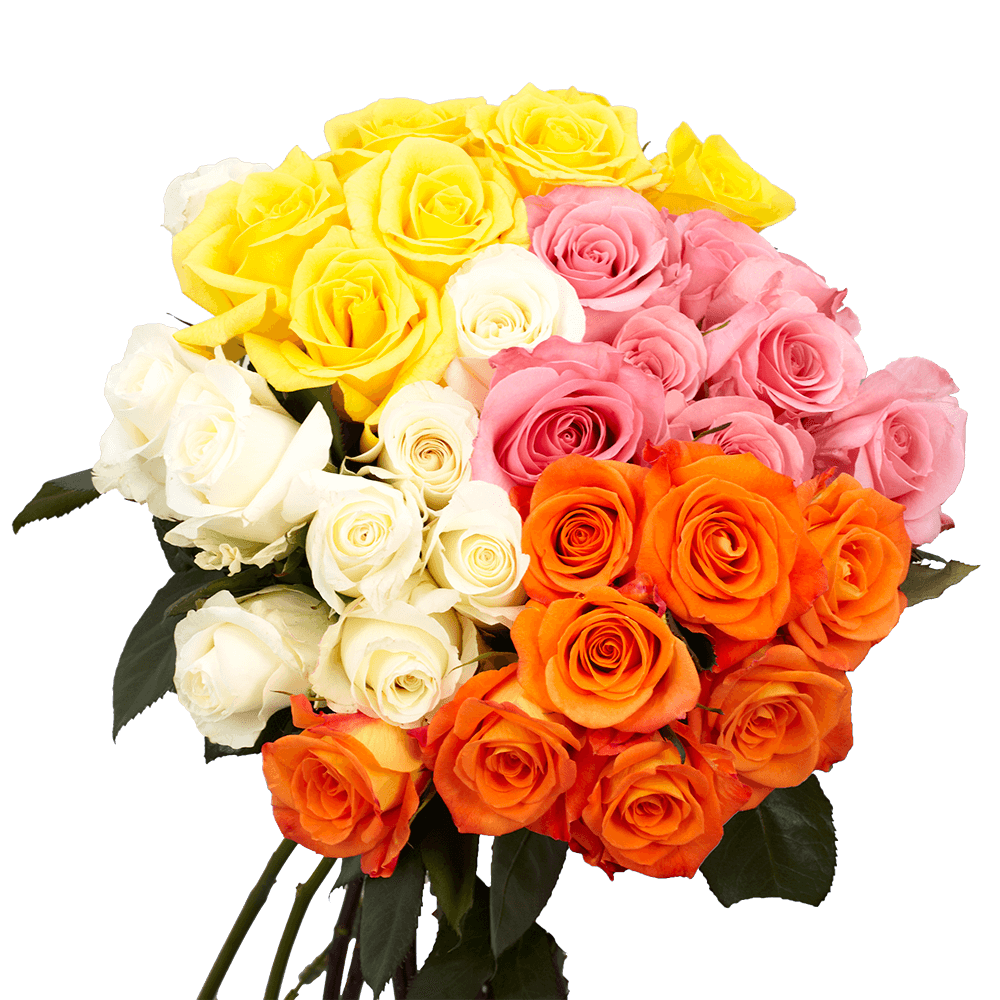 Choose Your Quantity of Assorted Color Roses For Delivery to Greensboro, North_Carolina