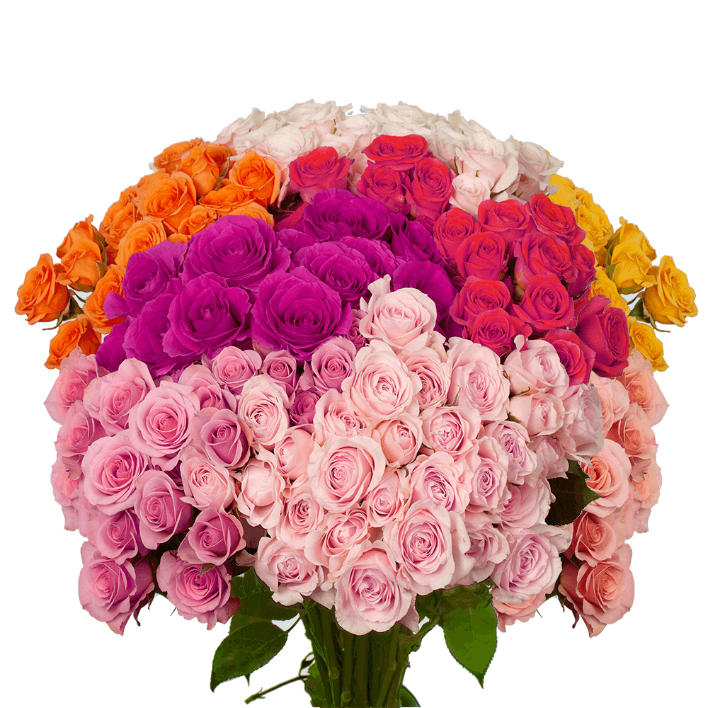 Best Bouquets for Birthday - Assorted Color Spray Roses