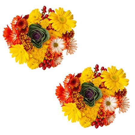 (OC) Autumn Arrangement Indian Summer