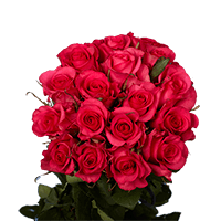 (OC) Roses Sht Hot Paris 2 Bunches For Delivery to Apache_Junction, Arizona
