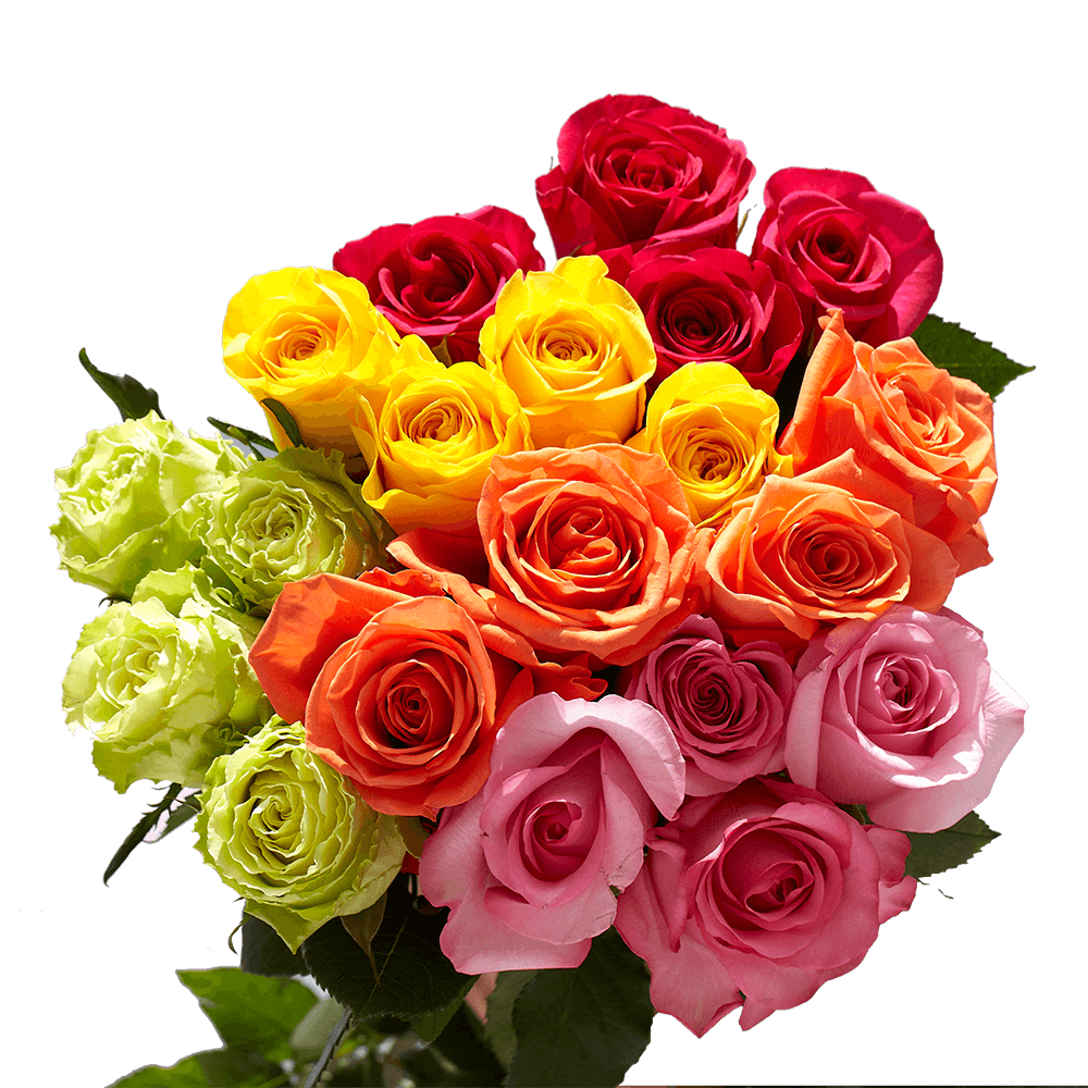 Beautiful Assorted Long Stem Roses