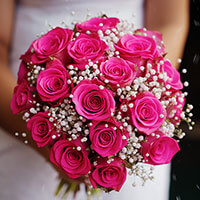 (BDx20) Classic Hot Pink Roses 6 Bridesmaids Bqts For Delivery to Fenton, Michigan