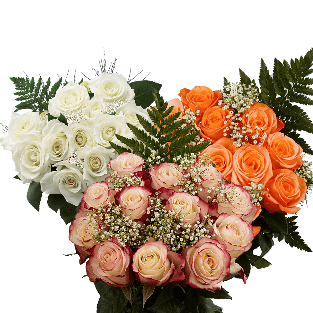 Beautiful Dozens of Assorted Colors of Roses with Fillers