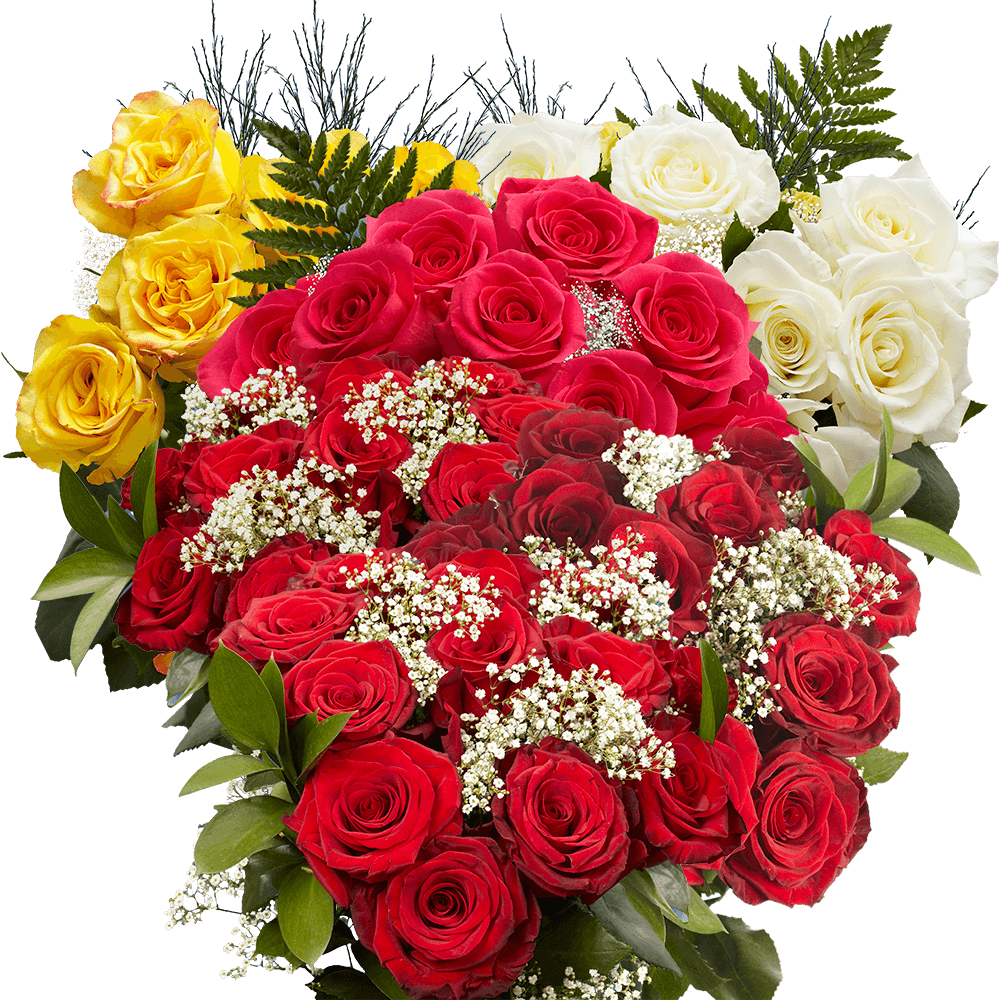 Beautiful Dozens of Red and Assorted Colors of Roses