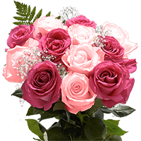 (QB) Mini Top Srecret Sh Pink & Hot Pink Rose (Fillers & Greens) 8 Bunches For Delivery to Lumberton, North_Carolina