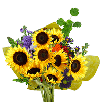 (QB) European Bqt Sunflowers 4 Bunches (12 stems)