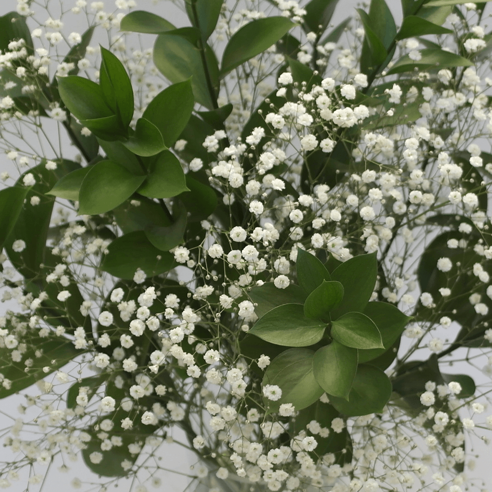 Beautiful Flower Fillers Lowest Cost Online