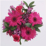 (QB) Wedding Centerpieces Magenta 8 Centerpieces