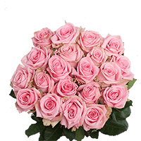 (OC) Rose Sht Pink Candy 50 Stems For Delivery to Salt_Lake_City, Utah