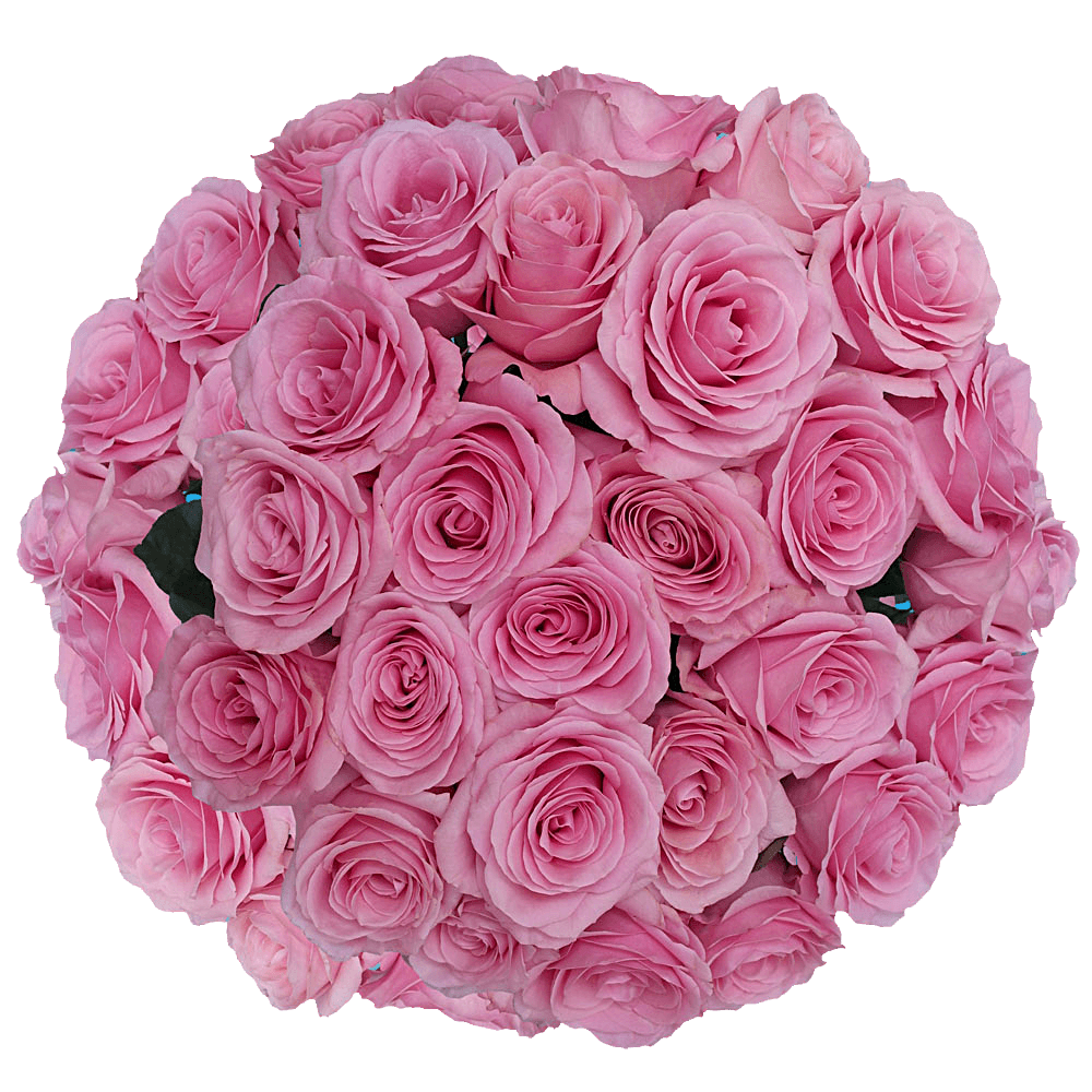 (QB) Rose Long Pink Saga For Delivery to Pico_Rivera, California
