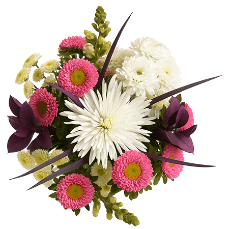 2 Cupid Arrangements