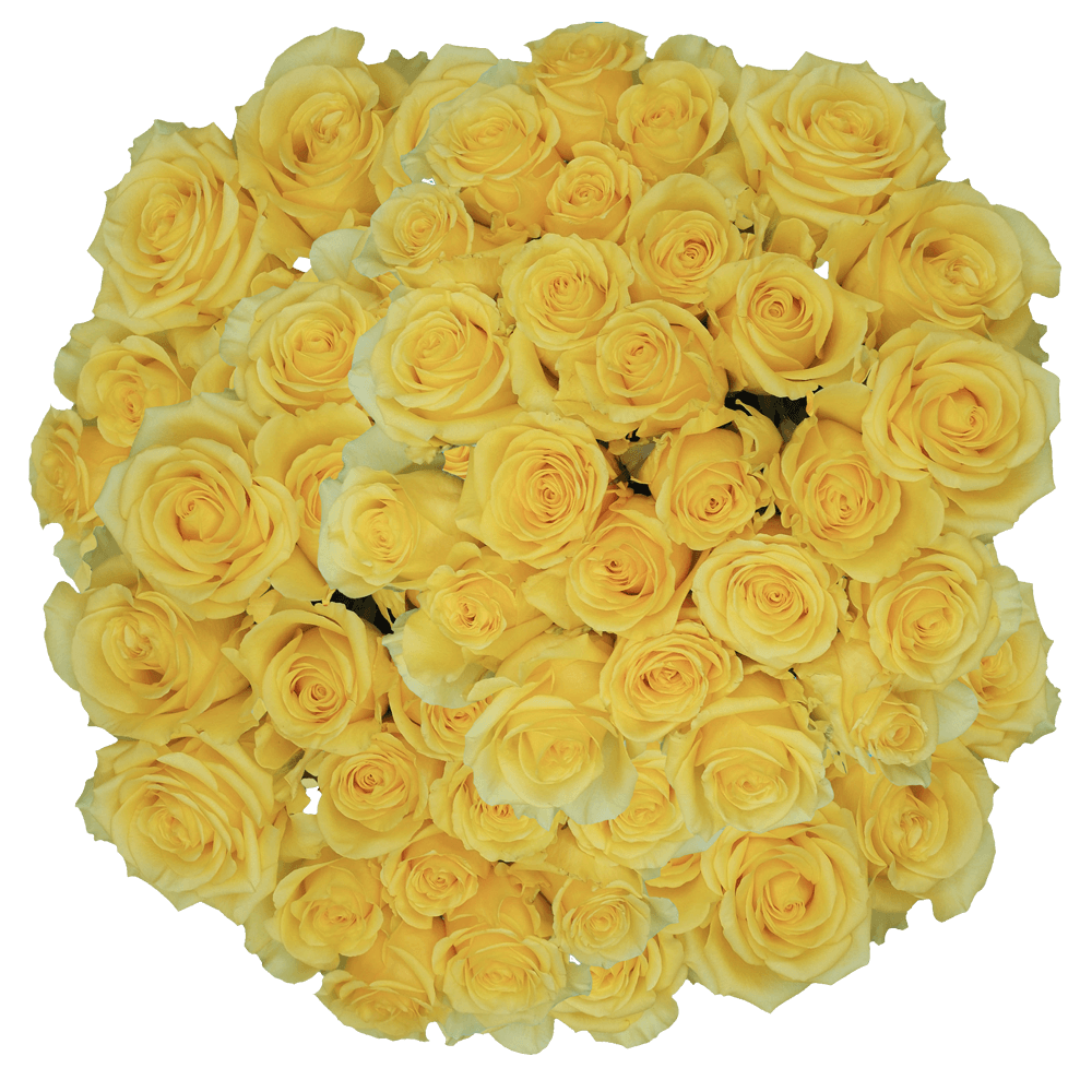 (HB) Rose Long Yellow King For Delivery to Manteca, California