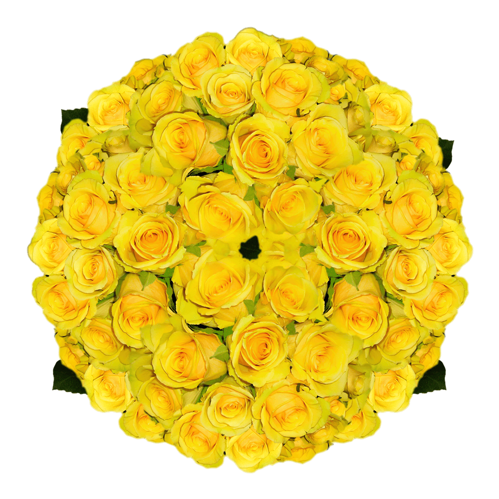 Beautiful Yellow Roses Wholesale Buy Roses Online Roses For Wedding