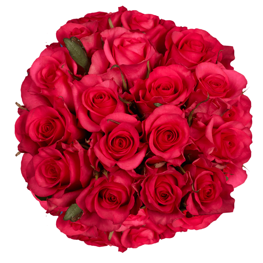 Best Almost Red Roses