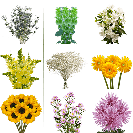 (QB) Specialty Combo Pack 10 Bunches