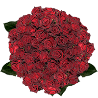 (HB) Rose Long Black Baccara For Delivery to Rockford, Illinois