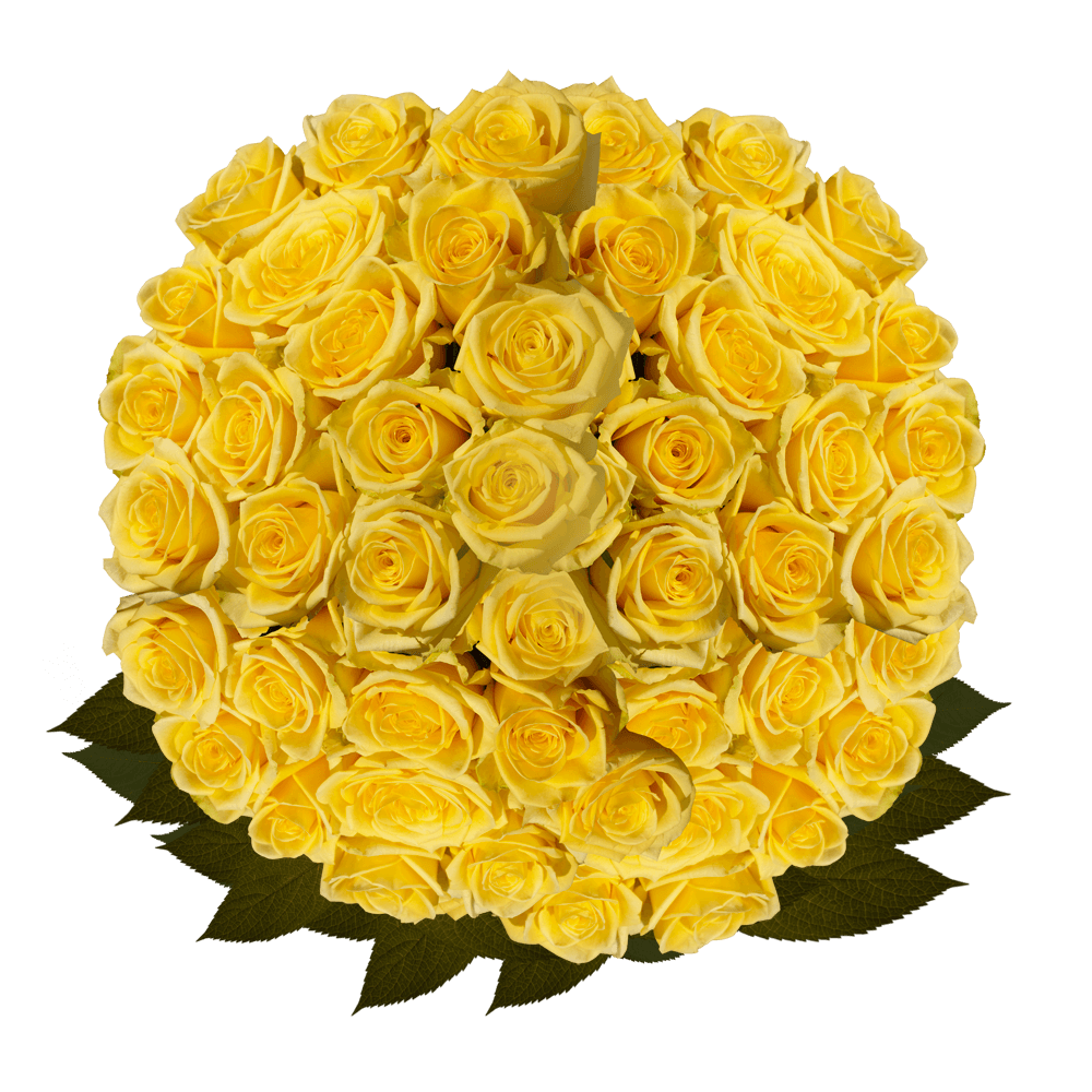 Best Bulk Yellow Roses